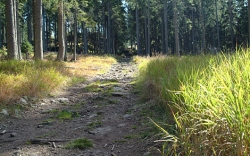 Goldsteig