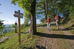  Goldsteig