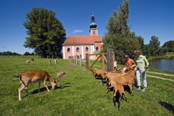 Wandern in Bayern