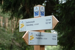 Schilderbaum Goldsteig