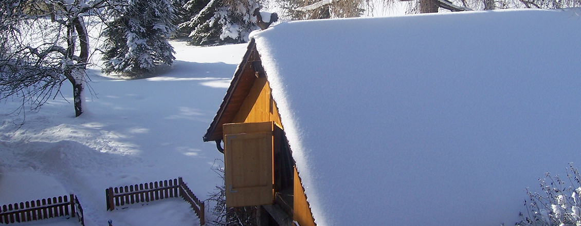 Winter4